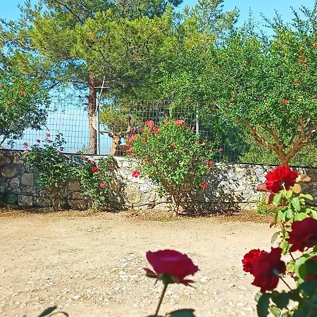 Casa de Férias Dora's House Istrios
